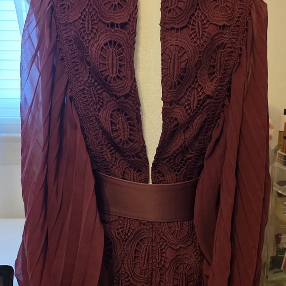 Wine Burgundy Lace & Pleated Long-Sleeve Mini Dress - Picture 4 of 6